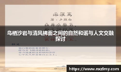 悟空体育