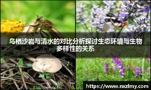 悟空体育官方